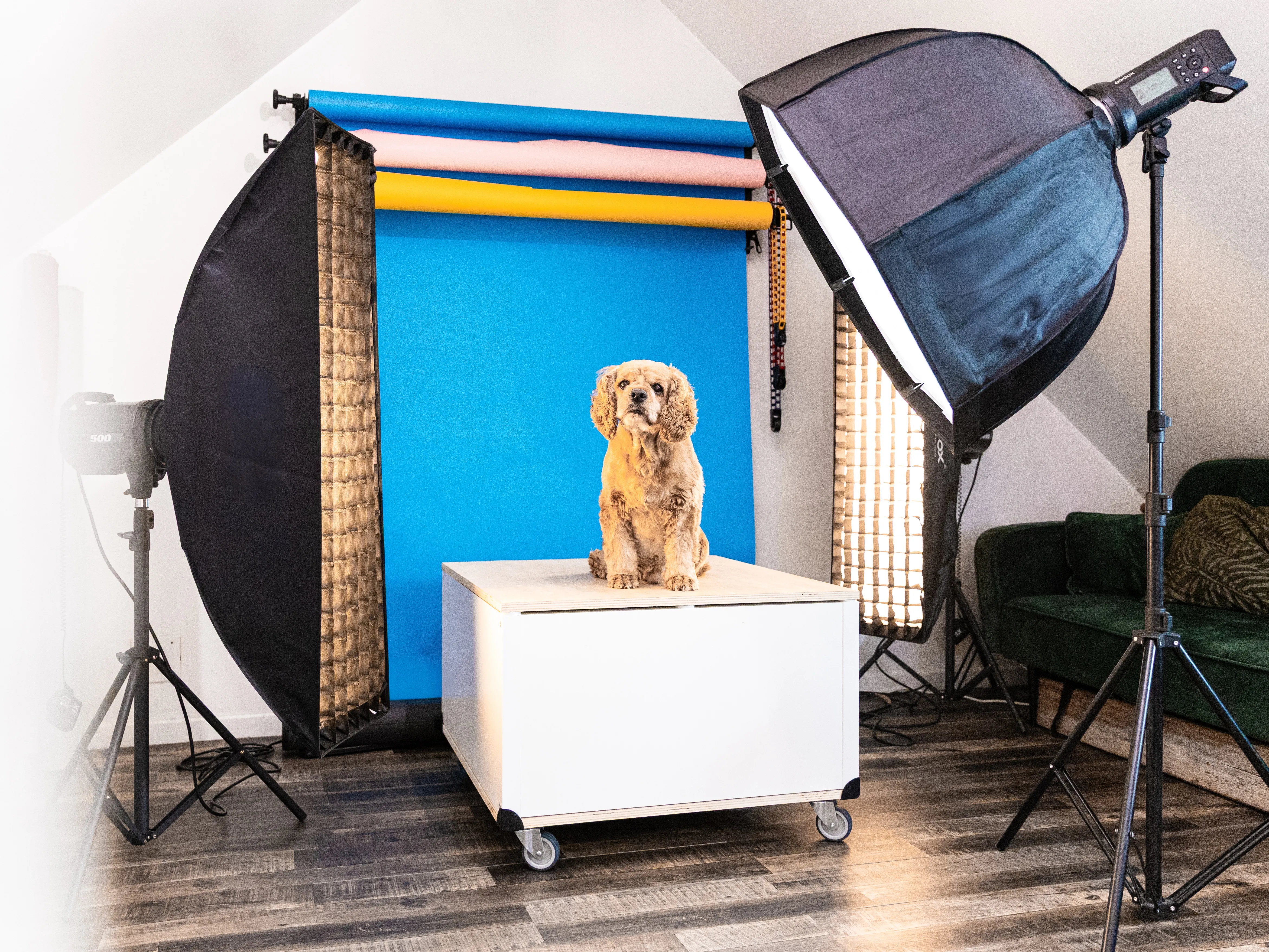 DES PORTRAITS ET DES POILS