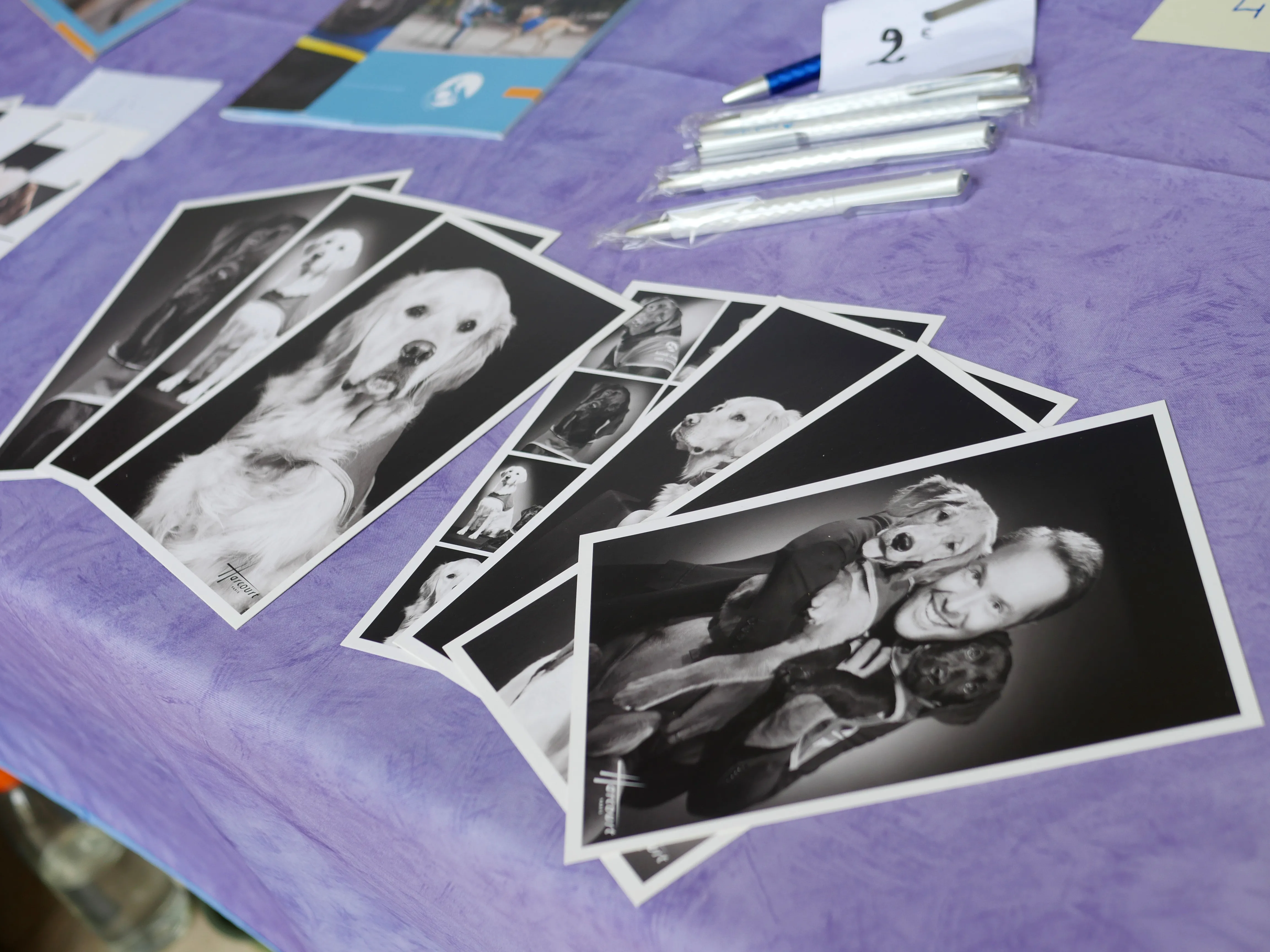 VOYEZ LE MONDE AUTREMENT