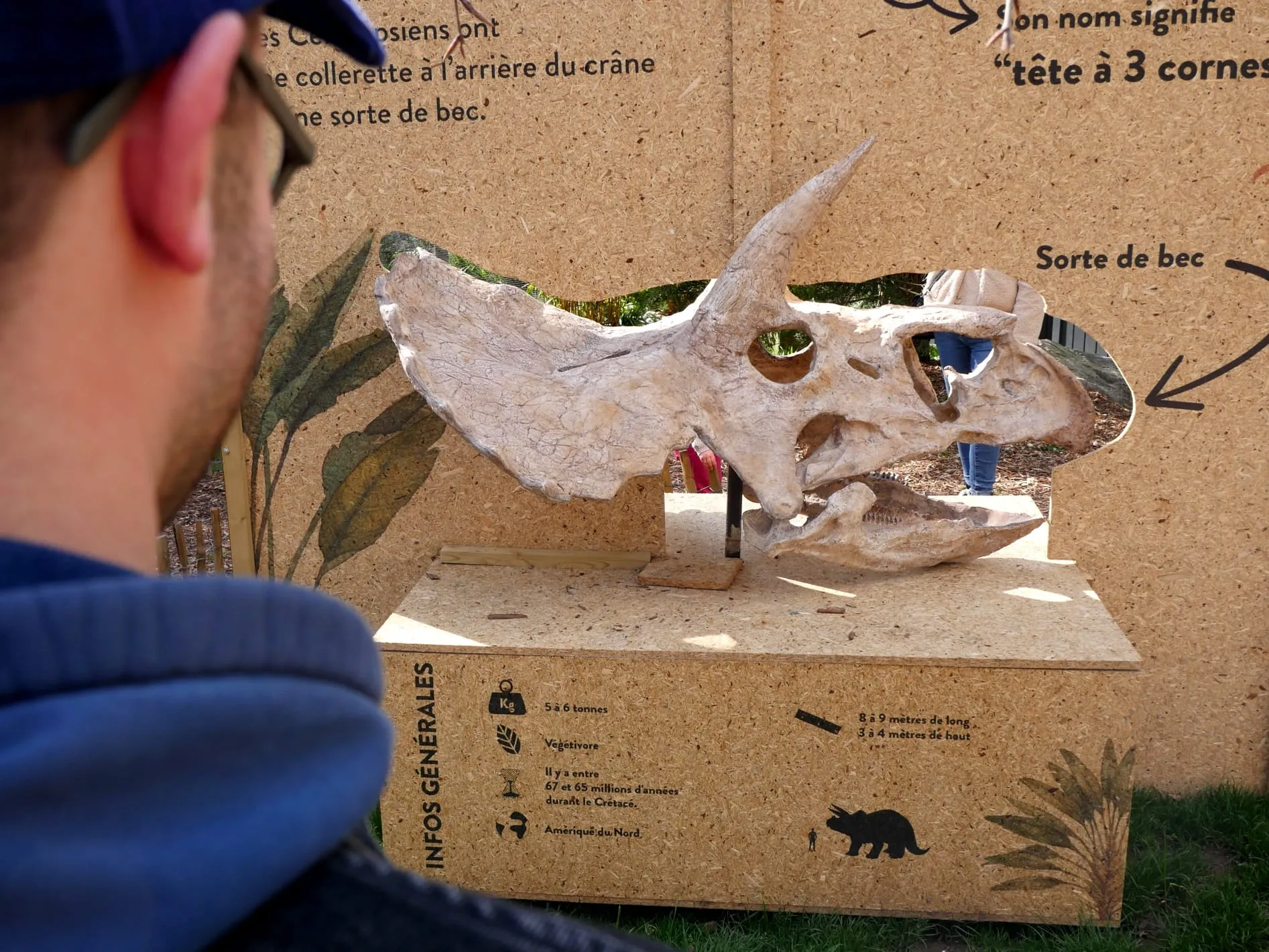 DES DINOS AU ZOO