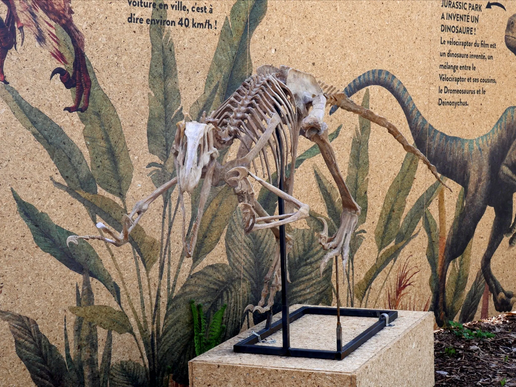 DES DINOS AU ZOO