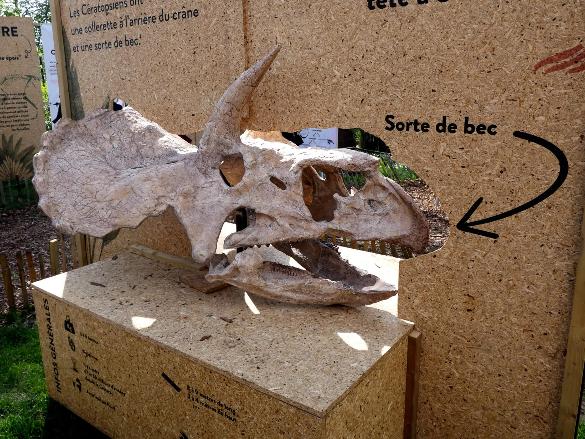 DES DINOS AU ZOO
