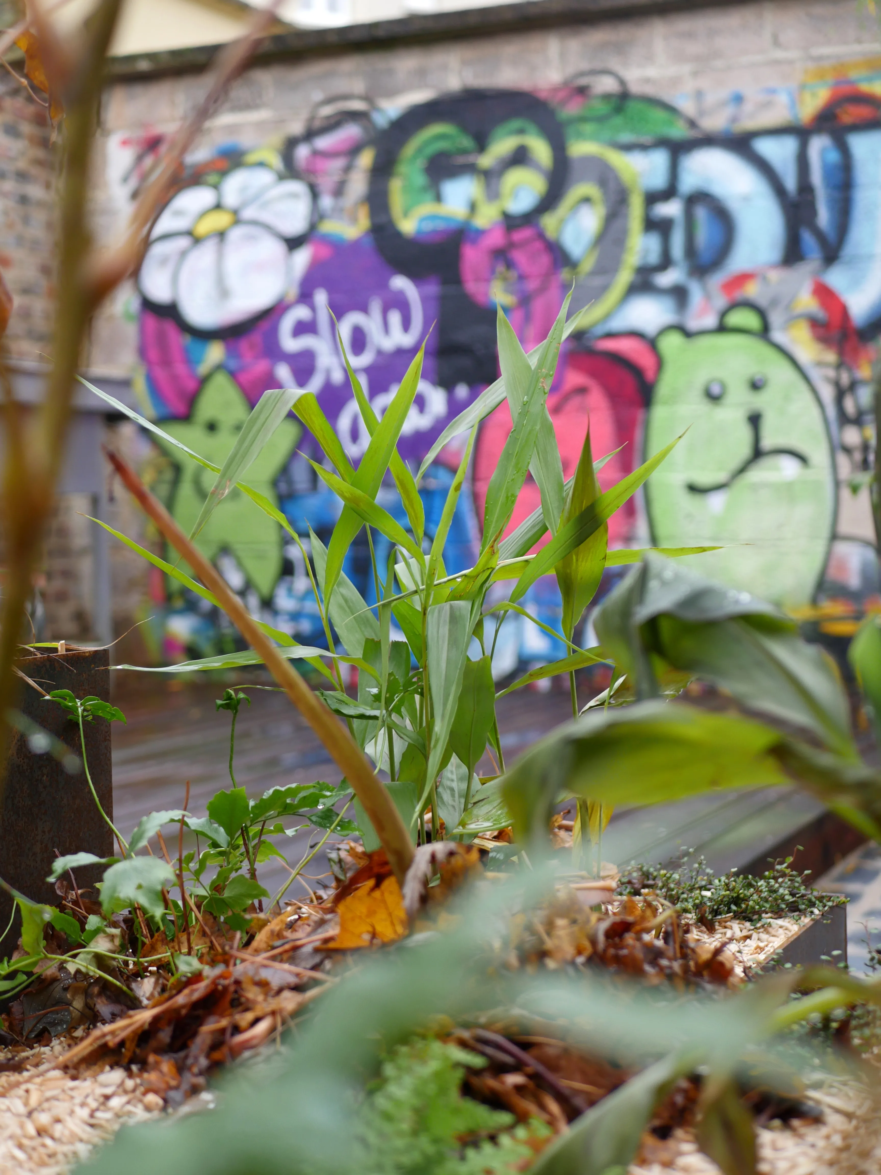 VOTRE JARDIN DE DEMAIN