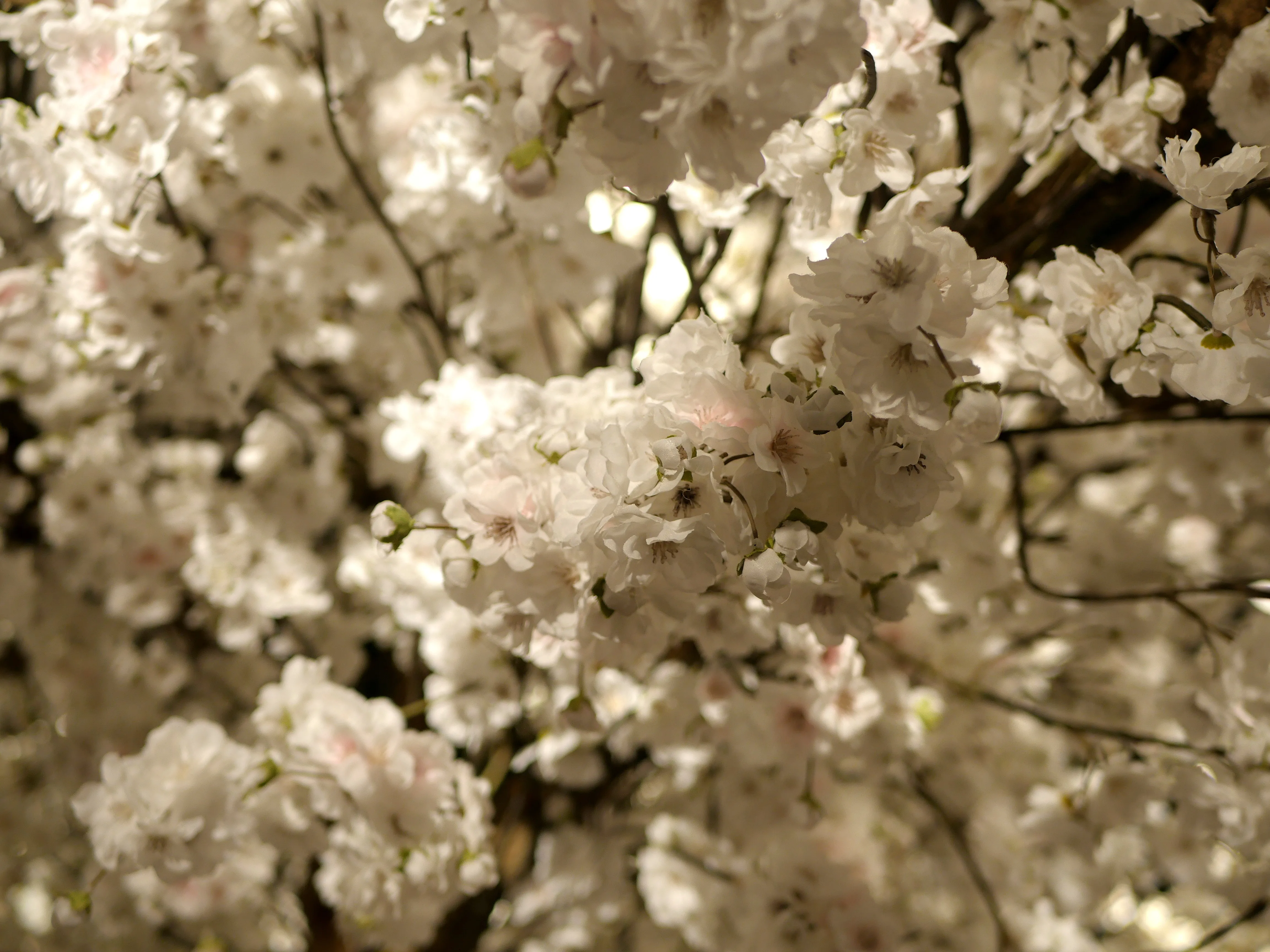 NOUVEAU RITUEL CHEZ GRAND A