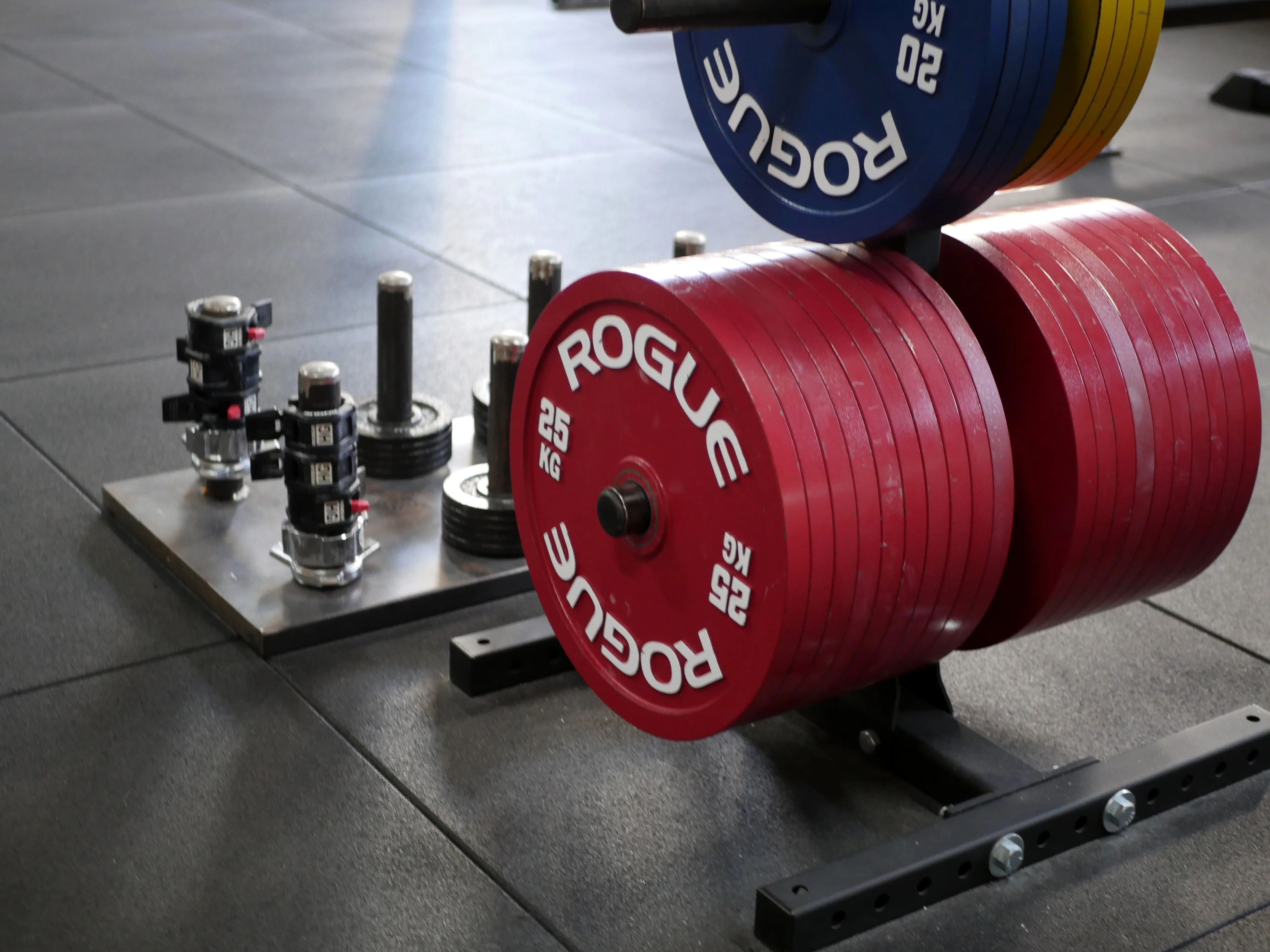 COSTAUDS COMME DES VIKINGS