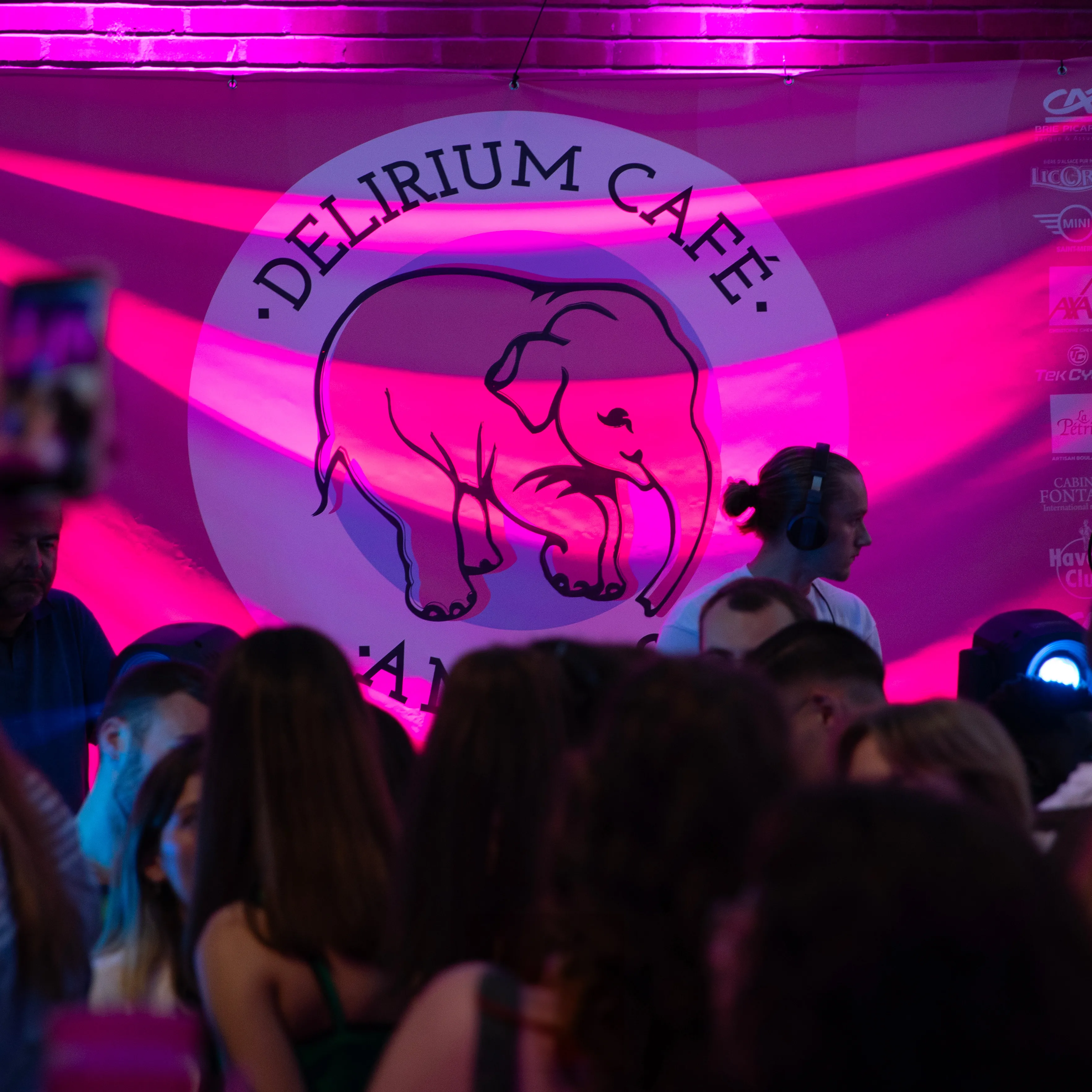 Le monde merveilleux de l'éléphant rose