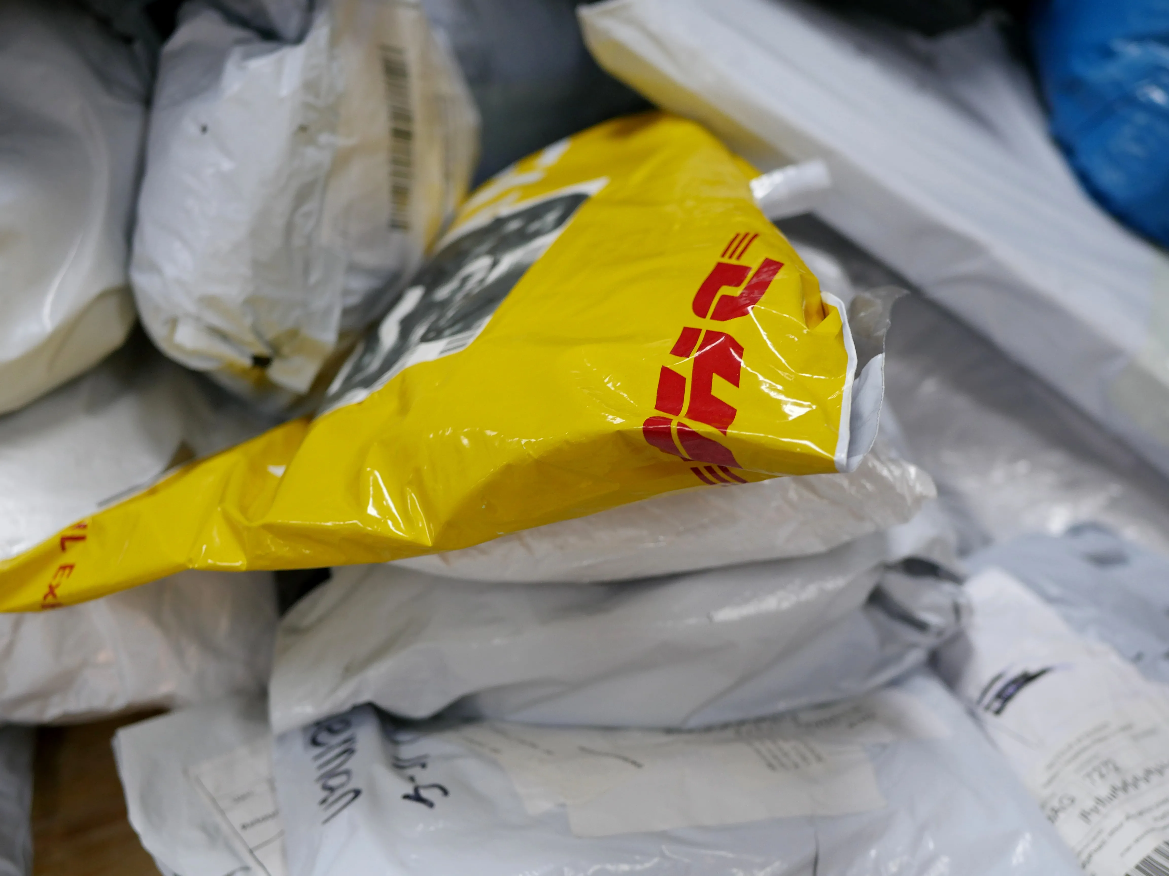 À la découverte de trésors oubliés...